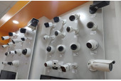 Video Signal